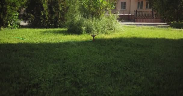 Aspersor é instalado na borda da sombra no gramado do quintal, câmera lenta — Vídeo de Stock