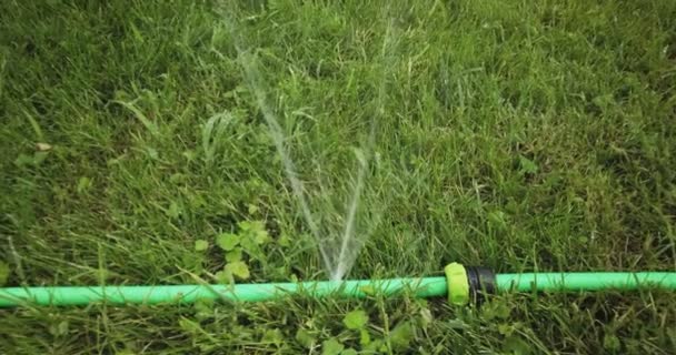 Утечка в садовом шланге. Утечка воды из поливной трубы на заднем дворе куклы в кадре — стоковое видео