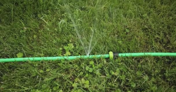 Loch im Gießschlauch. Beschädigtes Wasserrohr liegt auf Gras — Stockvideo