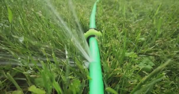 Fuga en la manguera. Fuga de agua de la tubería de riego en el patio trasero dolly in shot — Vídeo de stock