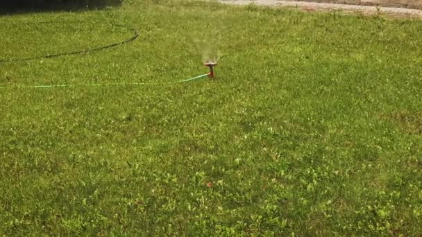Вращающаяся головка разбрызгивателя устанавливается на лужайке в солнечный день — стоковое видео