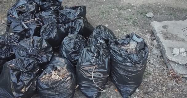 Primo piano di mucchio di sacchi della spazzatura sulla strada piena di foglie secche e ramoscelli — Video Stock