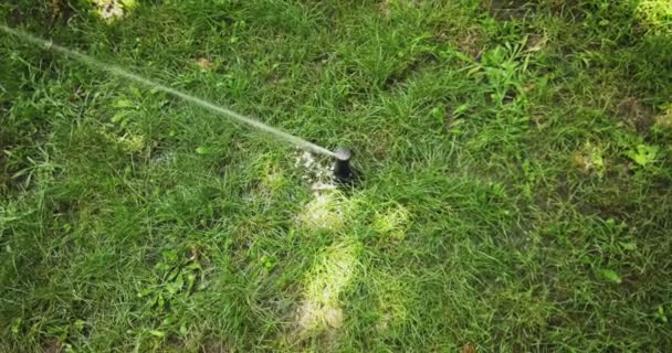 Testa di irrigatore automatico è lento movimento intorno a diffondere l'acqua in tutto il giardino prato del cortile, nessun tubo visibile — Video Stock