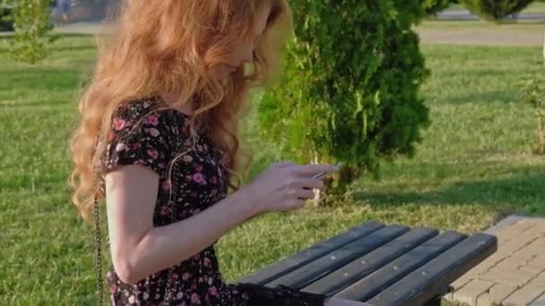 Rödhårig söt ung student lockigt hår sitter på bänk utomhus i naturparken med vackert solljus bakifrån med hjälp av mobiltelefon. — Stockvideo