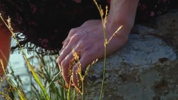 Damy ręka spoczywa na ciepłym betonowym kamieniu z trawą na pierwszym planie w zachodzącym słońcu — Wideo stockowe