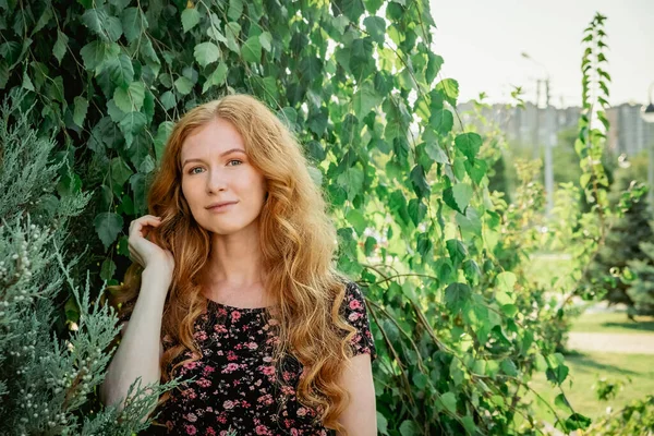 Gedachte Dame Poseren Voorkant Van Berk Boom Stadspark — Stockfoto