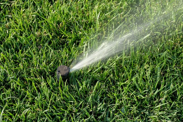 Sprinkler systeem werken op fris groen gras. — 图库照片