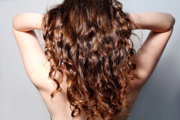 Closeup rear view of a curly womens hair — Stock Photo, Image