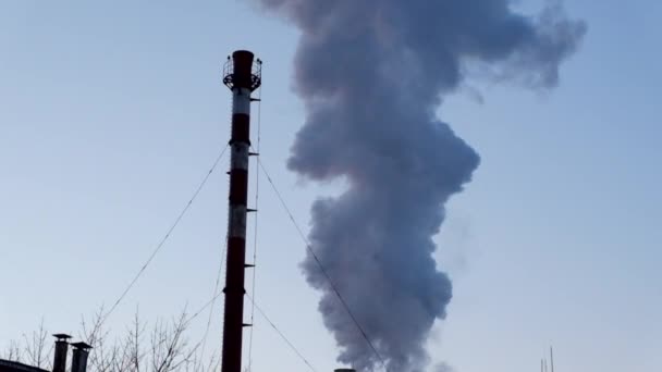 Chimenea. Contaminación, contaminación que provoca el calentamiento global y el cambio climático HD — Vídeo de stock