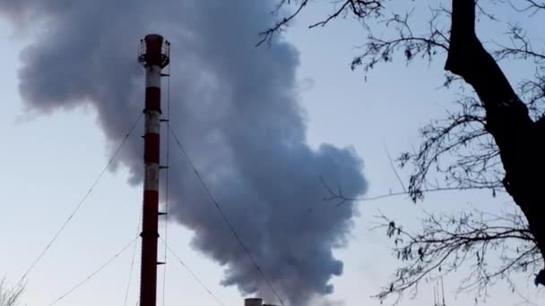 Промышленные трубы с дымом — стоковое видео