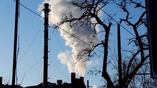 Забруднення, дим і пари, скинуті з промислового об'єкта . — стокове відео