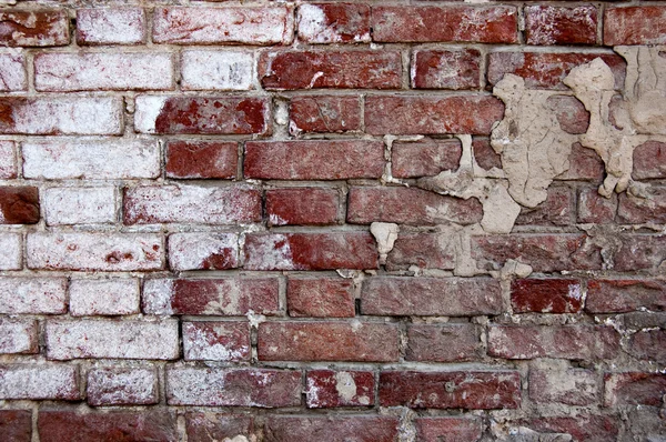 Verouderde bakstenen muur die helft geschilderd in wit — Stockfoto