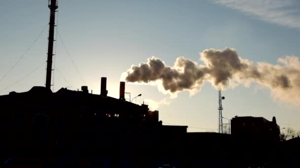 Planta de vapor de trabajo de la chimenea — Vídeo de stock