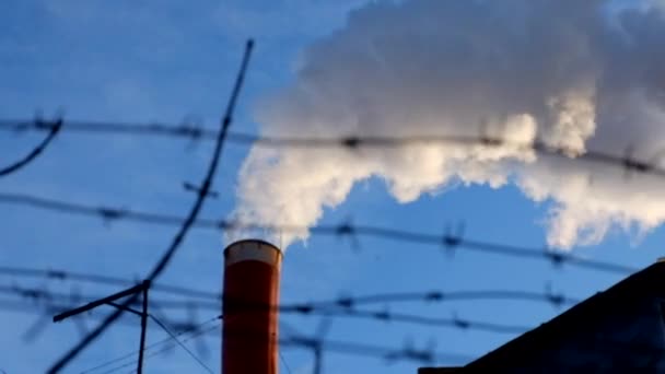 Fumar da chaminé contra o céu azul em um dia . — Vídeo de Stock