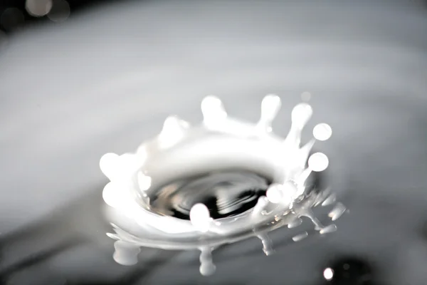 Salpicos de leite macro shot . — Fotografia de Stock