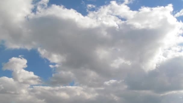 Tageshimmel mit Wolken im Zeitraffer — Stockvideo