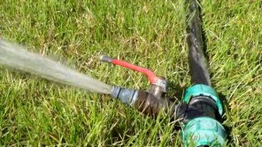 Bahar otların arasında çalışma Bahçe su fıskiye yan görünüm