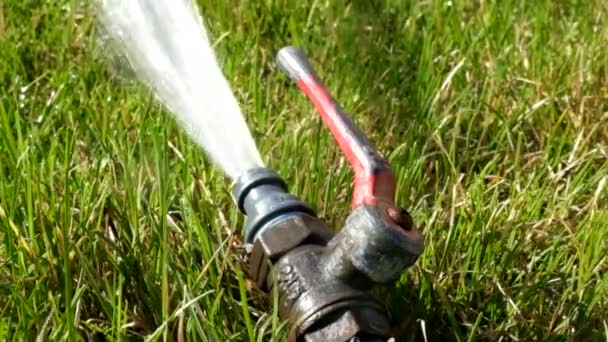 Spruzzatore d'acqua in erba fresca verde di lavoro — Video Stock