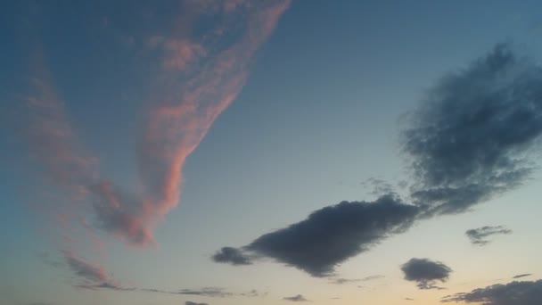 Noite céu fundo — Vídeo de Stock