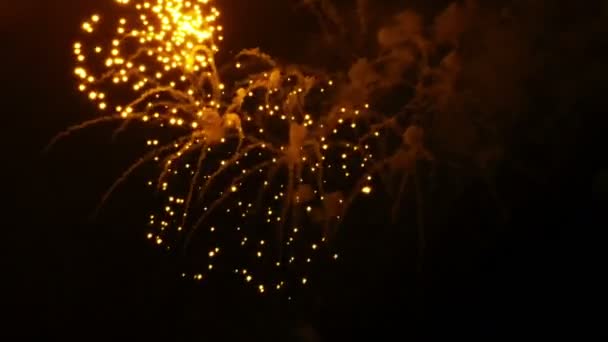 Fuochi d'artificio di celebrazione di anno nuovo — Video Stock