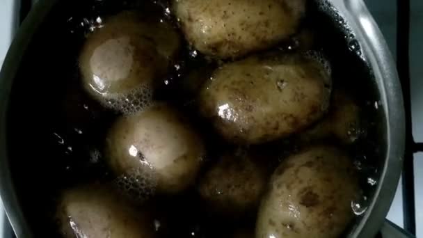 Potatis puttra i kokande vatten — Stockvideo