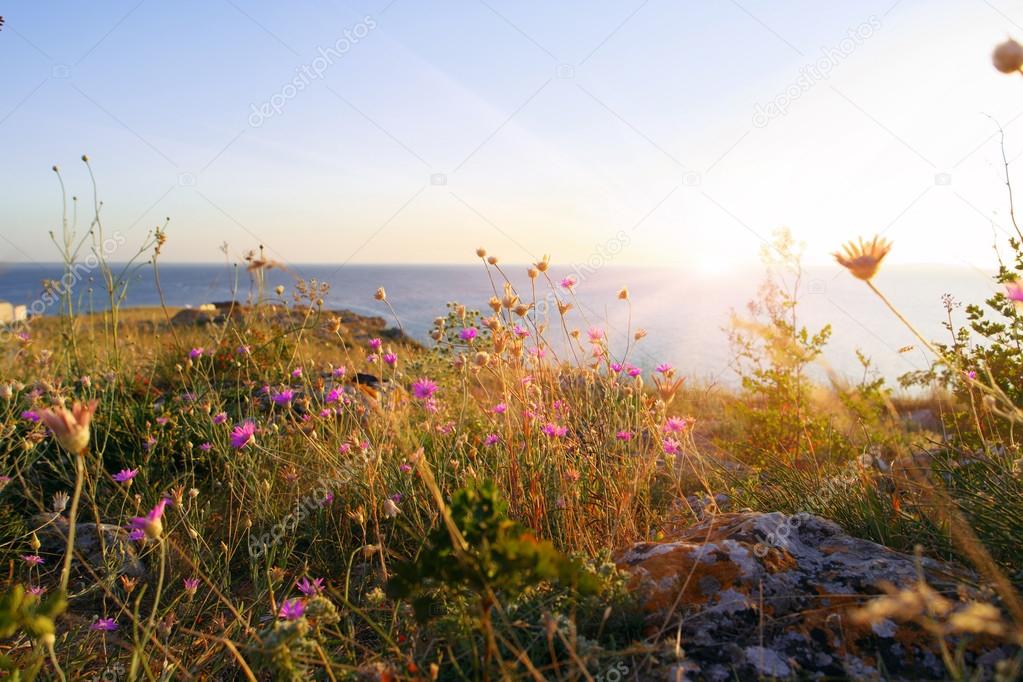 Sea and desert landscape Crimean peninsula