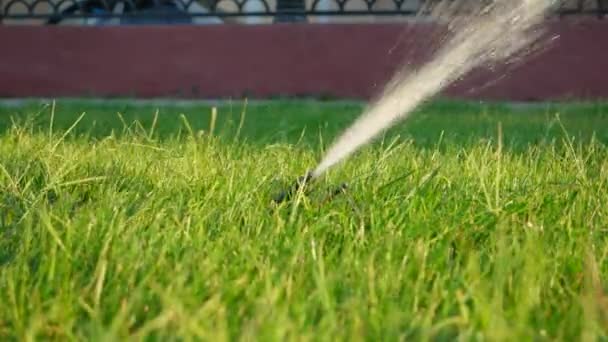 Sprinkler bevattning. Systemet arbetar på gräsmattan — Stockvideo