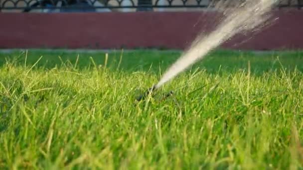 Esőztető öntözés. Sprinkler rendszer dolgozni gyep — Stock videók