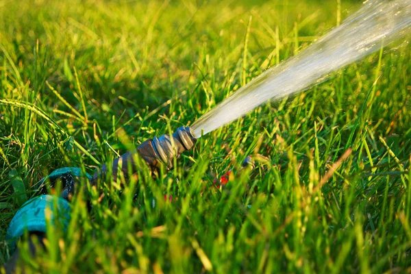 Riego en el jardín. Flujo de agua que sale de la tubería en hierba verde fresca con manchas de luz solar en el fondo. Un primer plano borroso. Mucho espacio para el texto — Foto de Stock