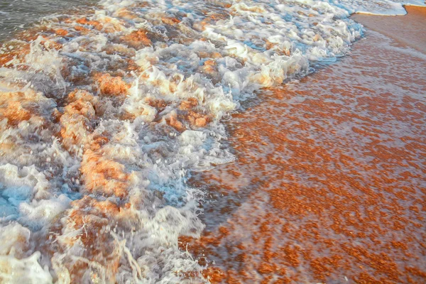 Sea waves on sandy  beach — Stock Photo, Image