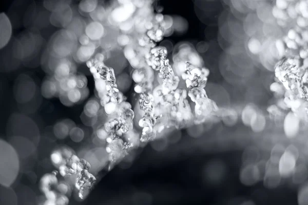 Imagen macro de salpicadura de agua sobre fondo negro, gotas de agua vuelan en el aire — Foto de Stock