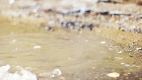 Water drops falling down in spring puddle. — Stock Video