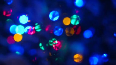 Noel kış çerçeve, xmas ağacı twigs, garland bokeh, soğuk renkler.