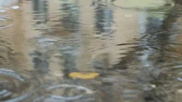 Капли дождя на поверхности воды с отражением здания — стоковое видео