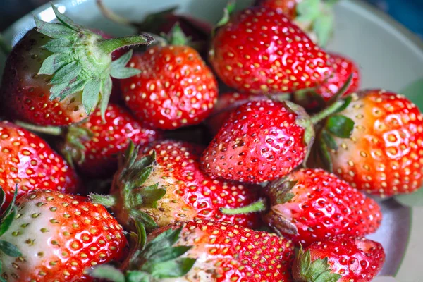 Macro de nombreuses fraises — Photo