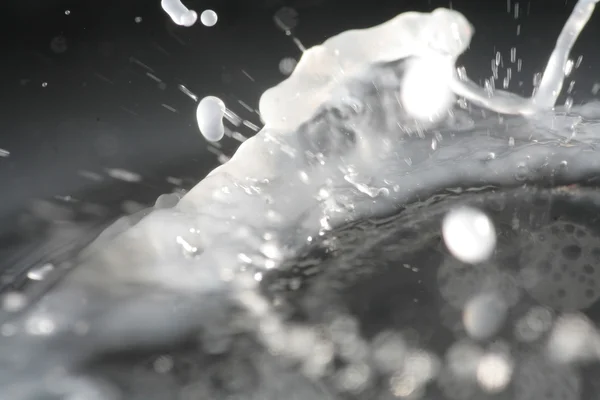 Macro bild av mjölk droppe splash — Stockfoto
