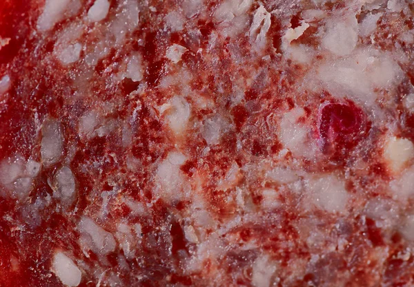 Salame piccante. Macro di fetta di Sasusage . — Foto Stock