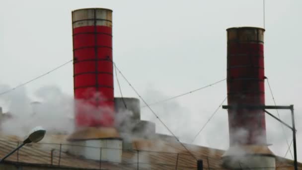 Old factory roof — Stock Video