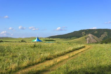 Güzel yaz manzarası Dağlı tarla ağaçları