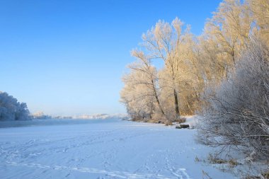 Nehir ve ağaçlarla kaplı kış manzarası