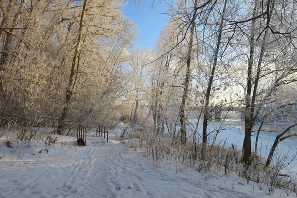 歩道橋や木の霜のカバーで冬の風景 — ストック写真