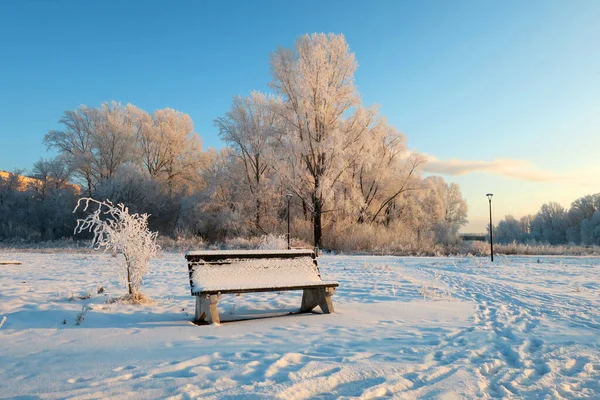 Winterlandschaft Park Mit Bäumen — Stockfoto