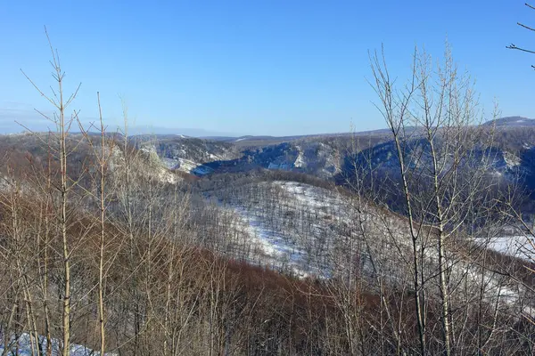 Paysage Hivernal Avec Montagnes Arbres — Photo