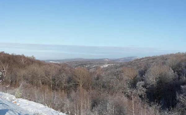 Paysage Hivernal Avec Montagnes Arbres — Photo