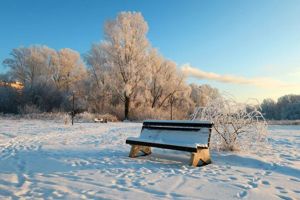 Paesaggio Invernale Parco Con Alberi — Foto Stock