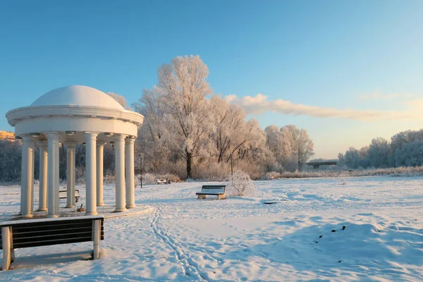 Paisagem Inverno Parque Com Árvores — Fotografia de Stock