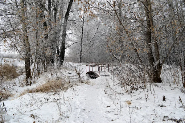 Paesaggio Invernale Con Passerella Copertura Gelo Alberi — Foto Stock