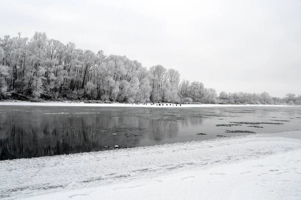 Winter Landscape River Trees Frost Cover — Stock Photo, Image