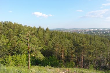 Güzel yaz manzarası