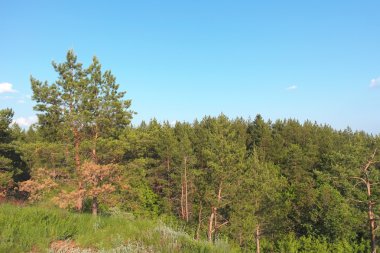 Güzel yaz manzarası